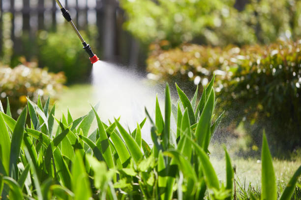 24/7 Emergency Wasp Removal experts in O'Fallon, IL